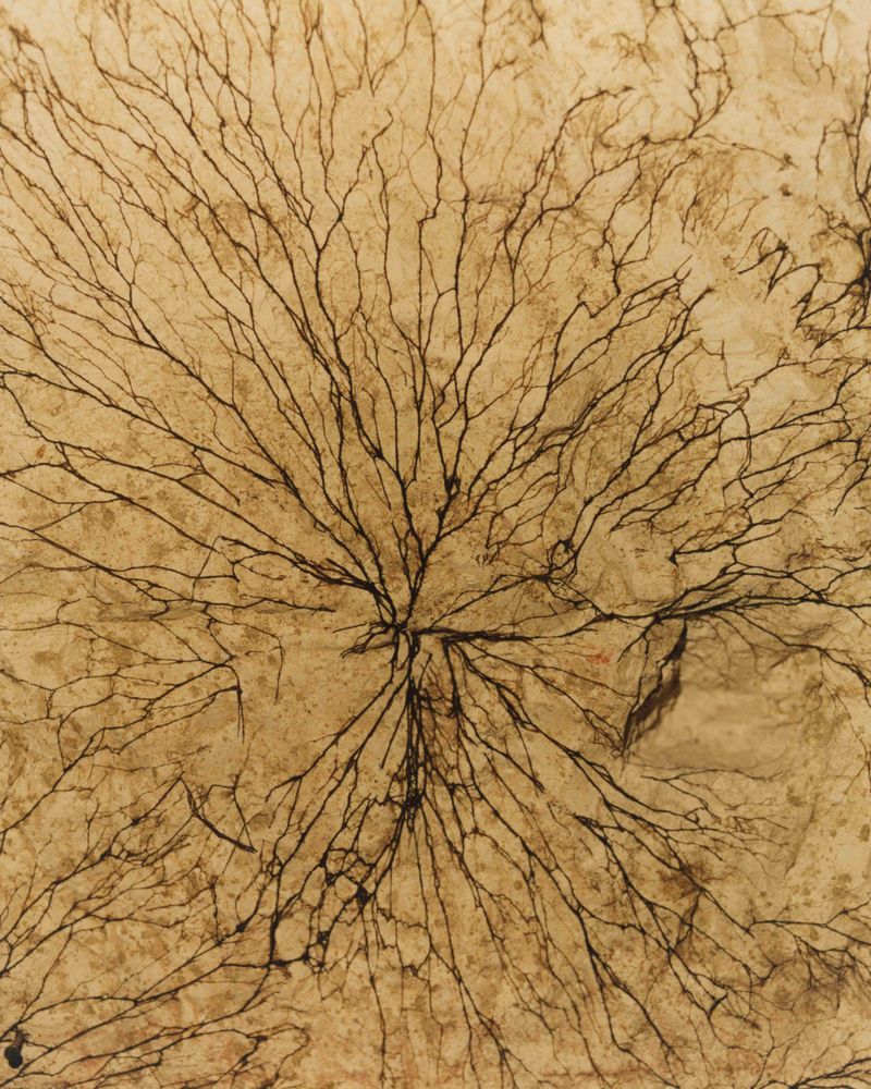 © Tetsuo Kashiwada - Image from the Pulling the Void photography project