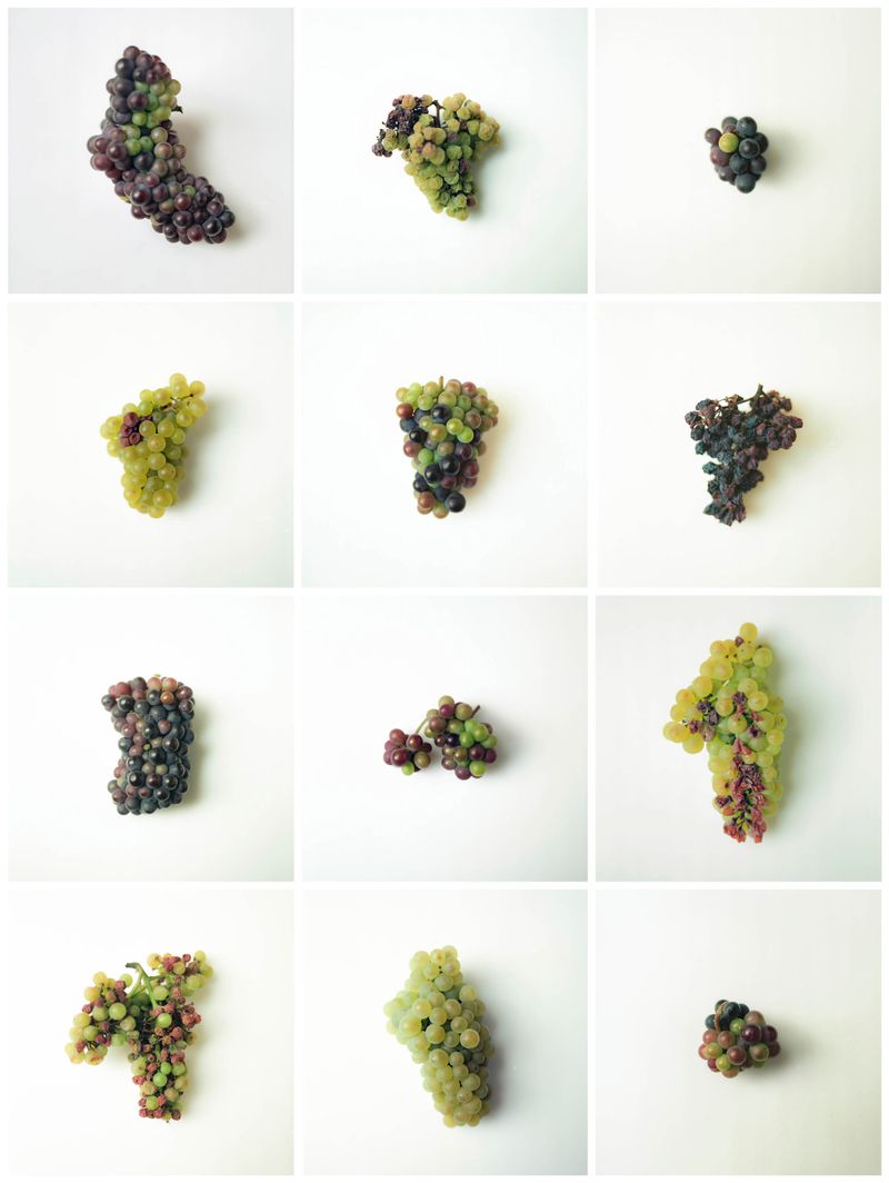 © Tetsuo Kashiwada - Image from the Pulling the Void photography project