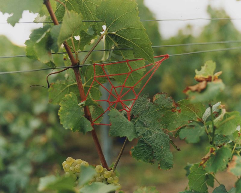 © Tetsuo Kashiwada - Image from the Pulling the Void photography project