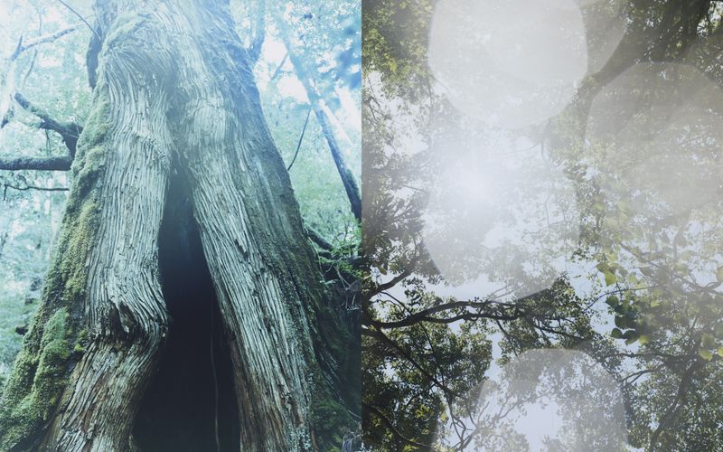 © Tetsuo Kashiwada - Image from the Nearly equal photography project