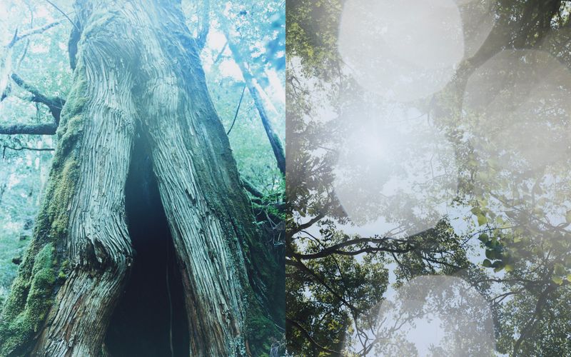 © Tetsuo Kashiwada - Image from the Nearly equal photography project