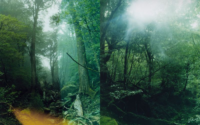 © Tetsuo Kashiwada - Image from the Nearly equal photography project