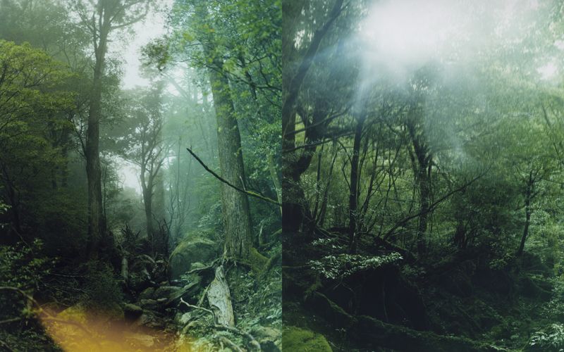 © Tetsuo Kashiwada - Image from the Nearly equal photography project