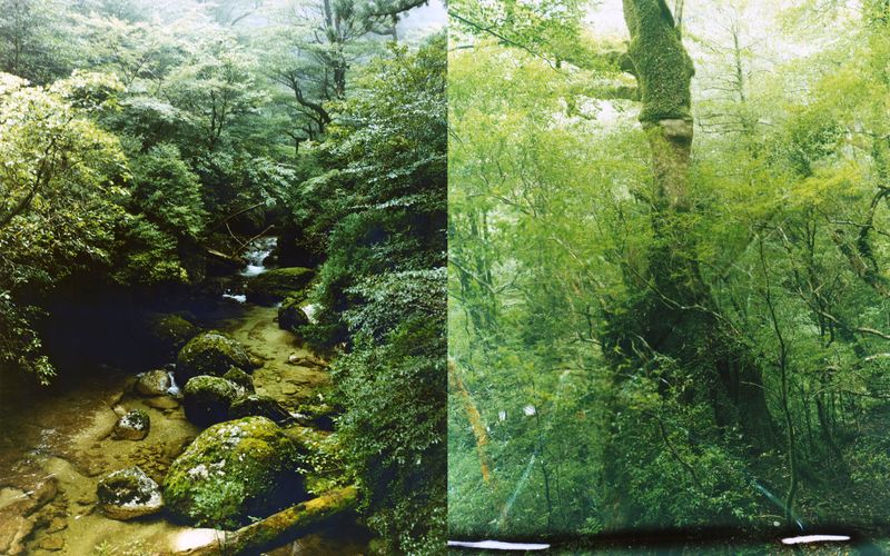 © Tetsuo Kashiwada - Image from the Nearly equal photography project