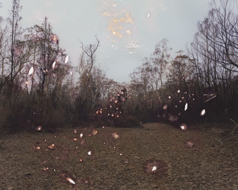 © Tetsuo Kashiwada - Image from the Message photography project