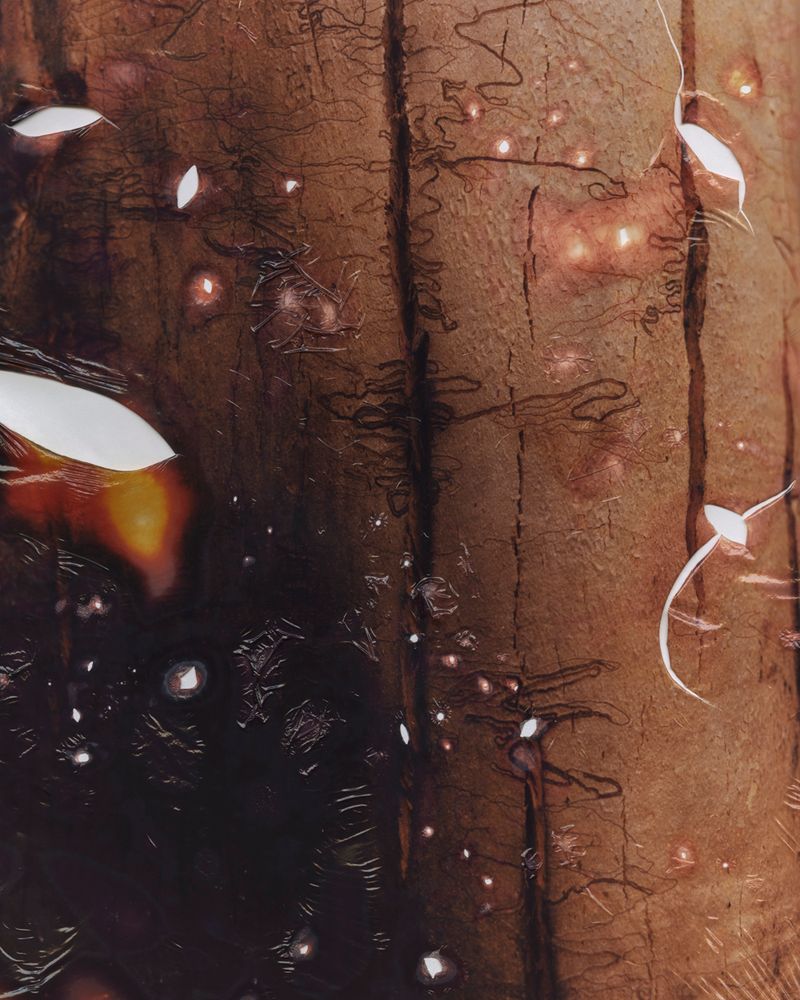 © Tetsuo Kashiwada - Image from the Message photography project