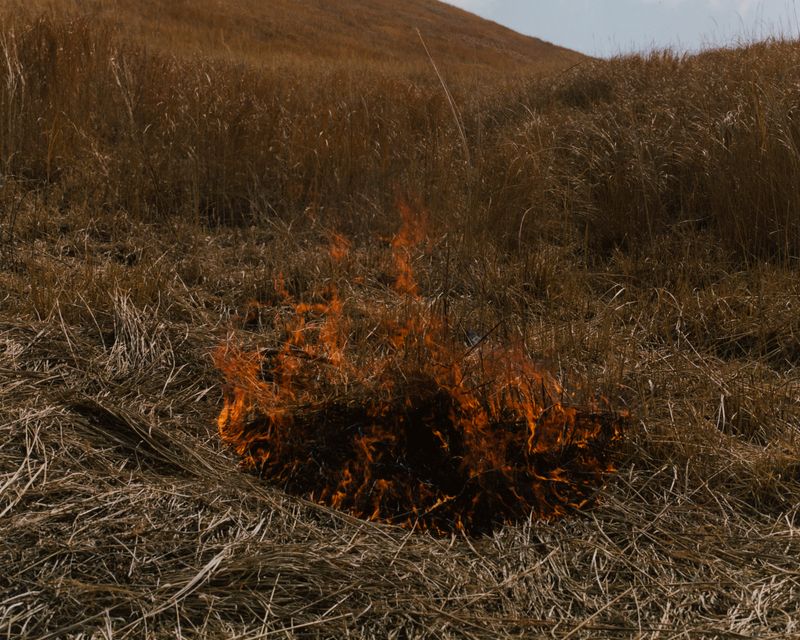 © Tetsuo Kashiwada - Image from the Interwoven photography project