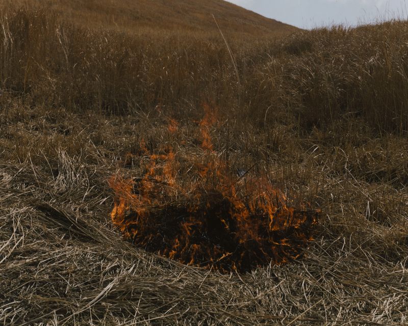 © Tetsuo Kashiwada - Image from the Interwoven photography project