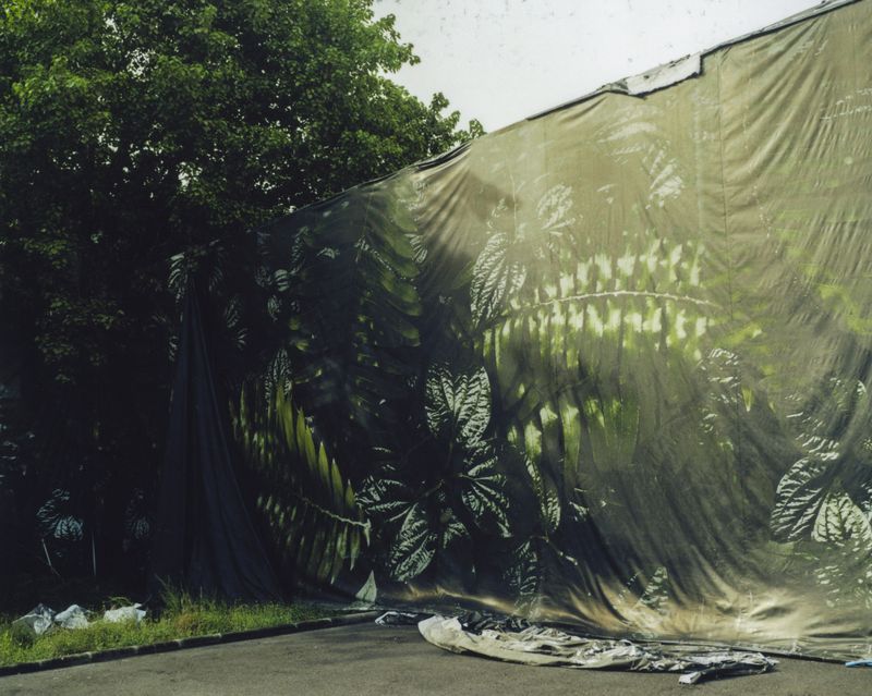 © Tetsuo Kashiwada - Image from the Interwoven photography project