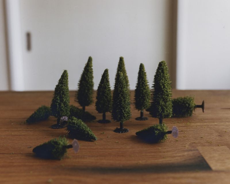 © Tetsuo Kashiwada - Image from the Interwoven photography project