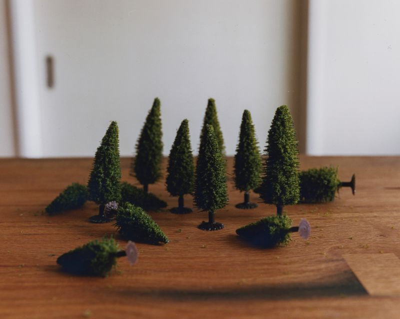 © Tetsuo Kashiwada - Image from the Interwoven photography project