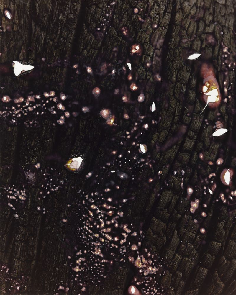 © Tetsuo Kashiwada - Image from the Interwoven photography project