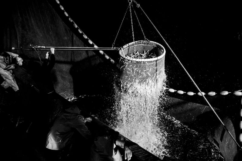 © Francesco Cilli - Image from the THE NIGHT WITHOUT MOON photography project