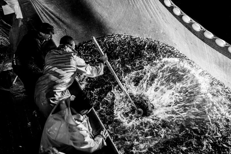 © Francesco Cilli - Image from the THE NIGHT WITHOUT MOON photography project