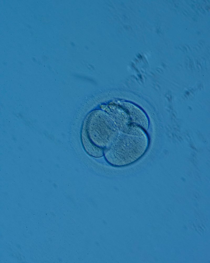 © Juliana Gómez Quijano - Image from the Las Dos Hebras (The Two Strands) photography project