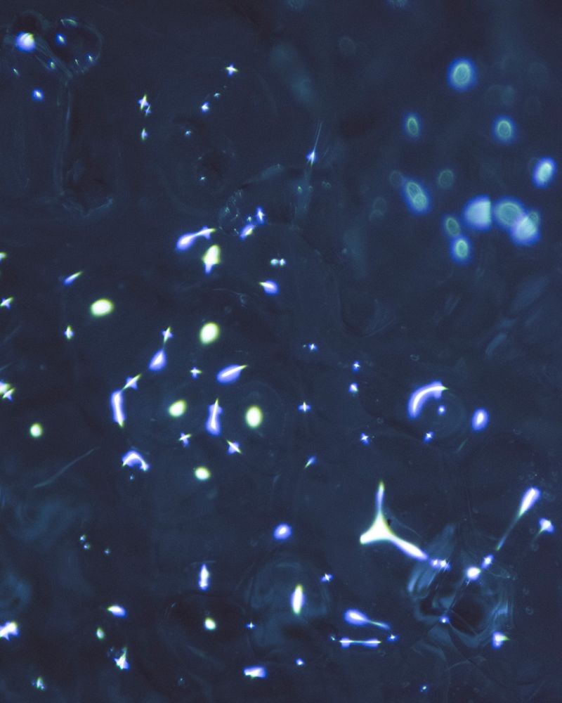 © Juliana Gómez Quijano - Image from the Las Dos Hebras (The Two Strands) photography project