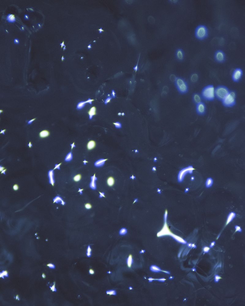 © Juliana Gómez Quijano - Image from the Las Dos Hebras (The Two Strands) photography project