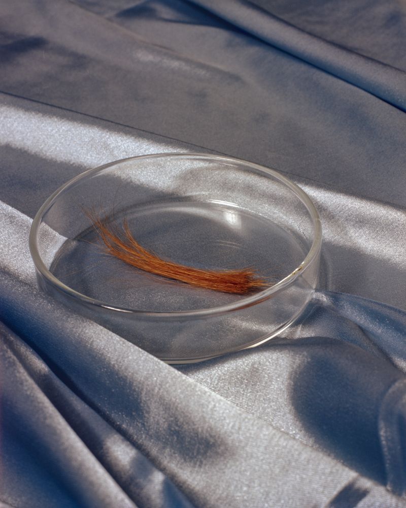 © Juliana Gómez Quijano - Portals. Know yourself and on that path to the cosmos, to the Universe.