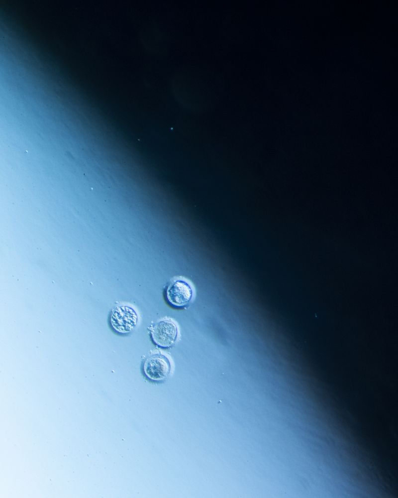 © Juliana Gómez Quijano - Image from the The Two Strands photography project