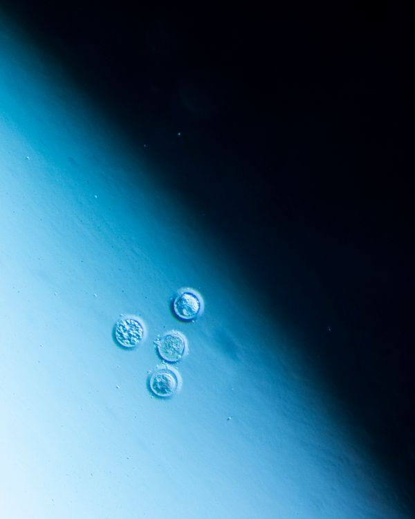 © Juliana Gómez Quijano - Image from the Las Dos Hebras (The Two Strands) photography project