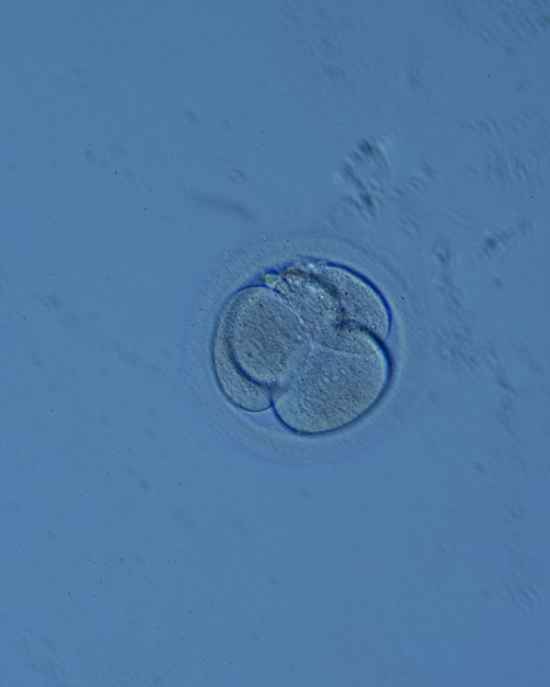 © Juliana Gómez Quijano - Image from the Las Dos Hebras (The Two Strands) photography project