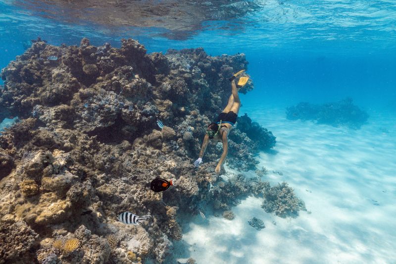 © Raquel Trejo - Image from the Coral Kids and the Coral Gardener photography project