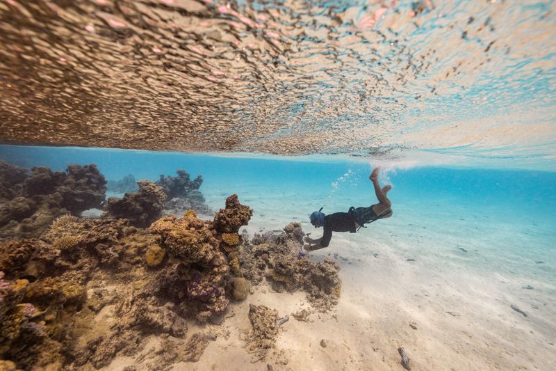 © Raquel Trejo - Image from the Coral Kids and the Coral Gardener photography project