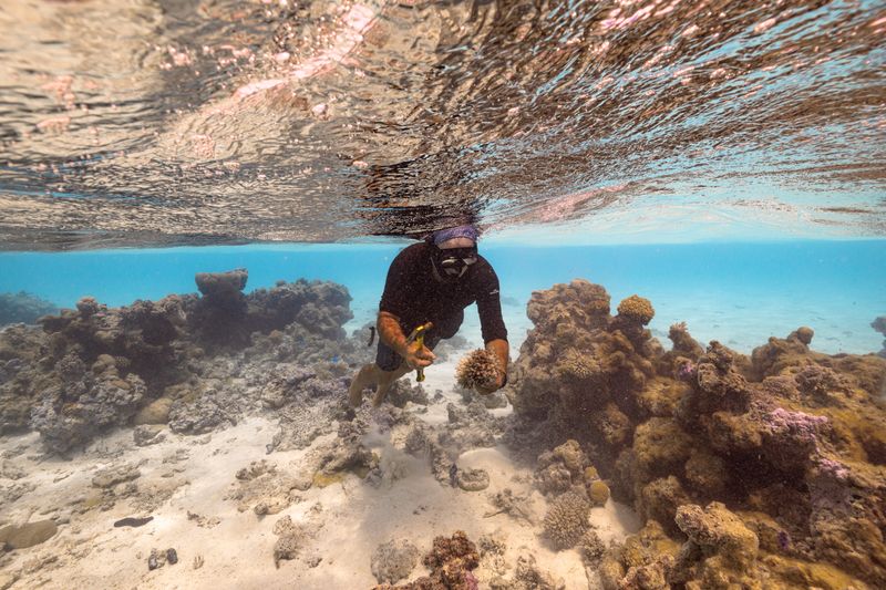 © Raquel Trejo - Image from the Coral Kids and the Coral Gardener photography project