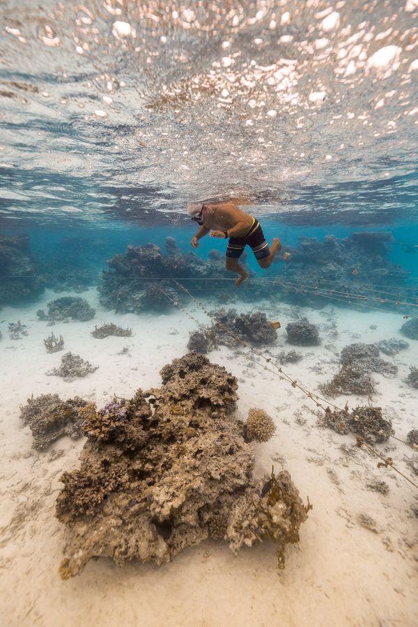 © Raquel Trejo - Image from the Coral Kids and the Coral Gardener photography project