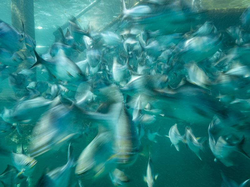 © Raquel Trejo - Image from the Mar photography project