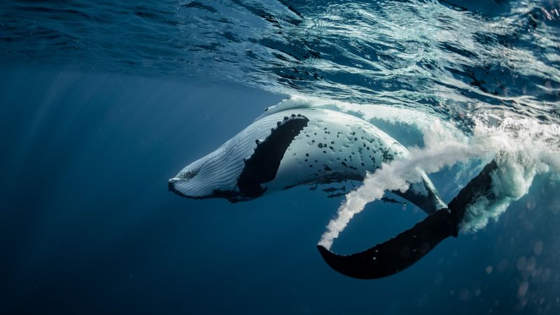 © Raquel Trejo - Image from the Mar photography project