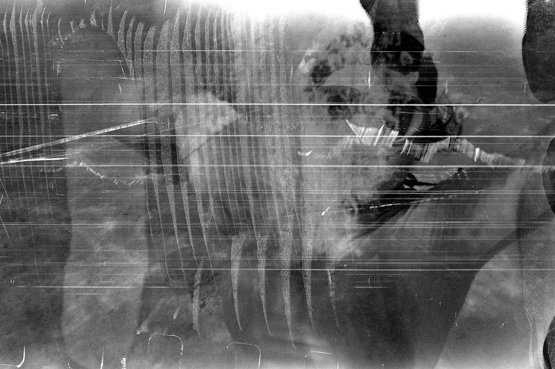 © Raquel Trejo - Image from the Mother photography project