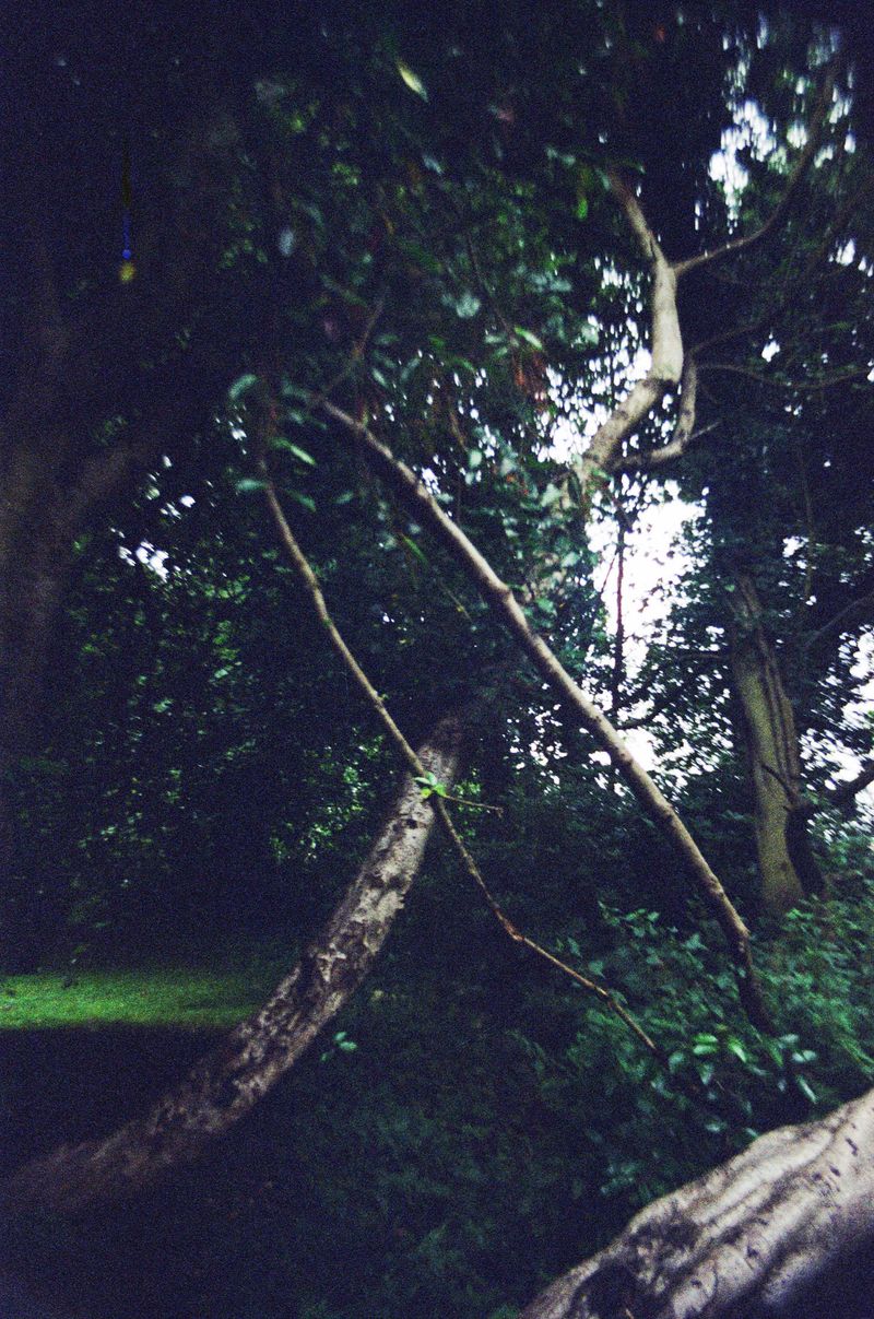 © Emma Spreadborough - Image from the You Mustn't Go Looking photography project