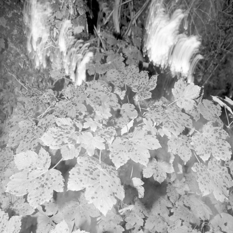 © Emma Spreadborough - Image from the You Mustn't Go Looking photography project