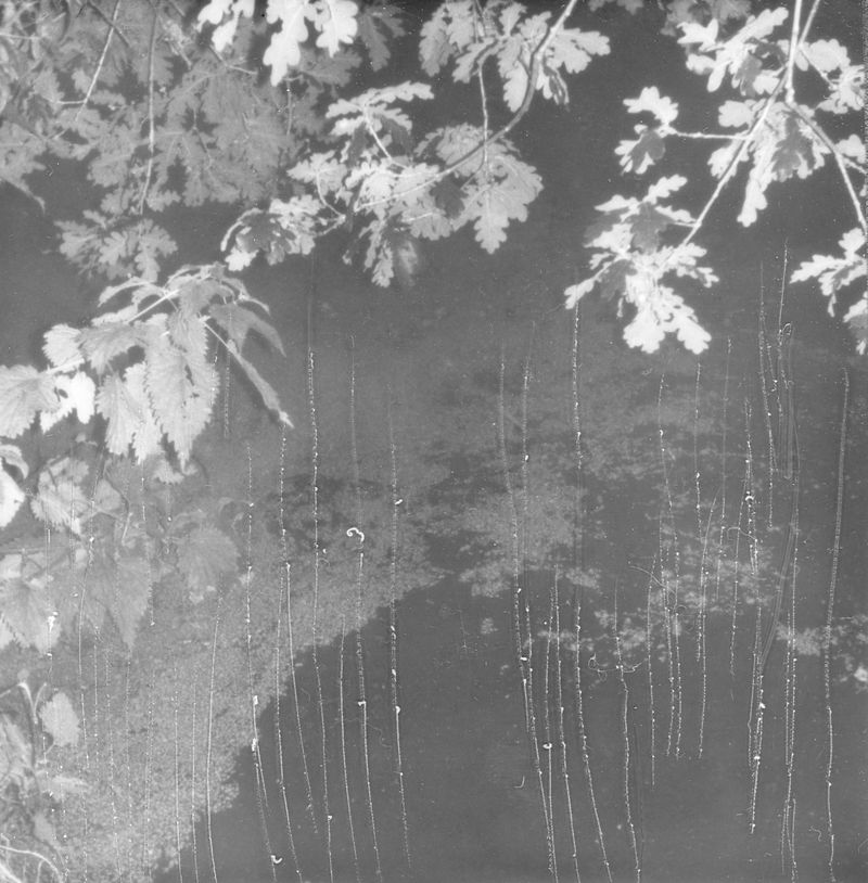 © Emma Spreadborough - Image from the You Mustn't Go Looking photography project