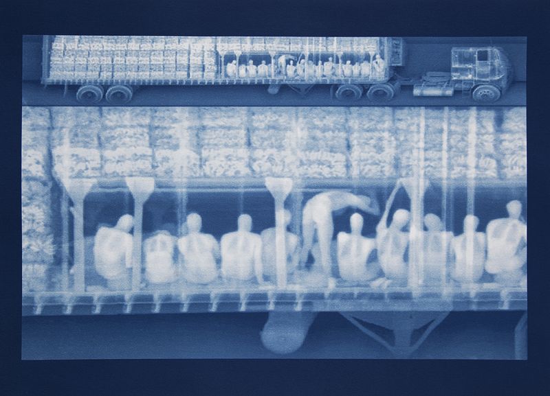 © Noelle Mason - Backscatter Blueprint (Ultima Cena), Cyanotype on watercolor paper, 22" x 18"