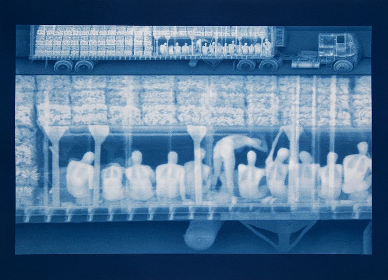 © Noelle Mason - Backscatter Blueprint (Ultima Cena), Cyanotype on watercolor paper, 22" x 18"