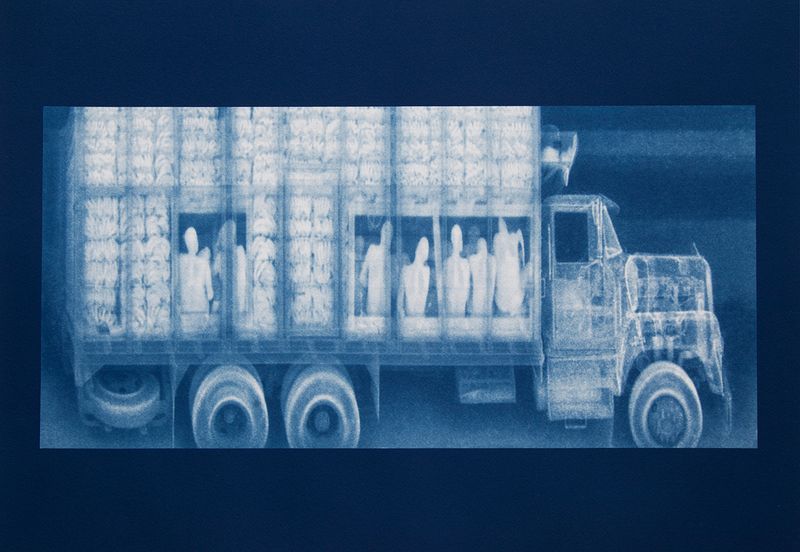 © Noelle Mason - Backscatter Blueprint (Los Bananos), Cyanotype on watercolor paper, 22" x 18"