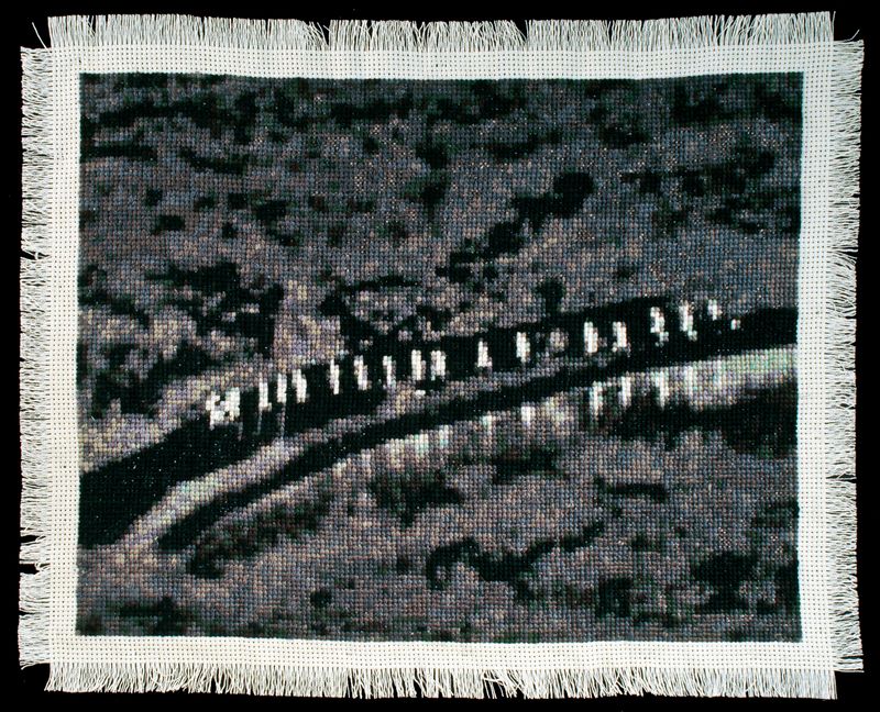 © Noelle Mason - Coyotaje (Rio Bravo), Hand Embroidered Cotton, 10" x 12"