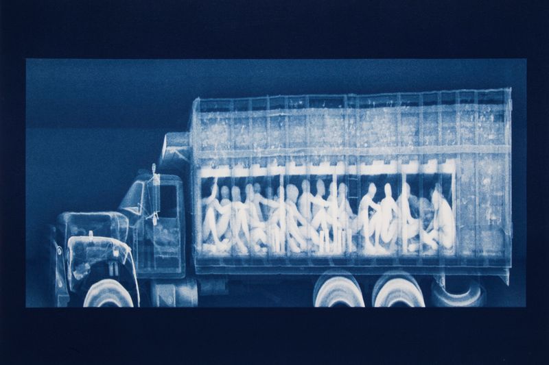 © Noelle Mason - Backscatter Blueprint (Vientre de la Bestia, Cyanotype on Watercolor Paper, 16" x 22"