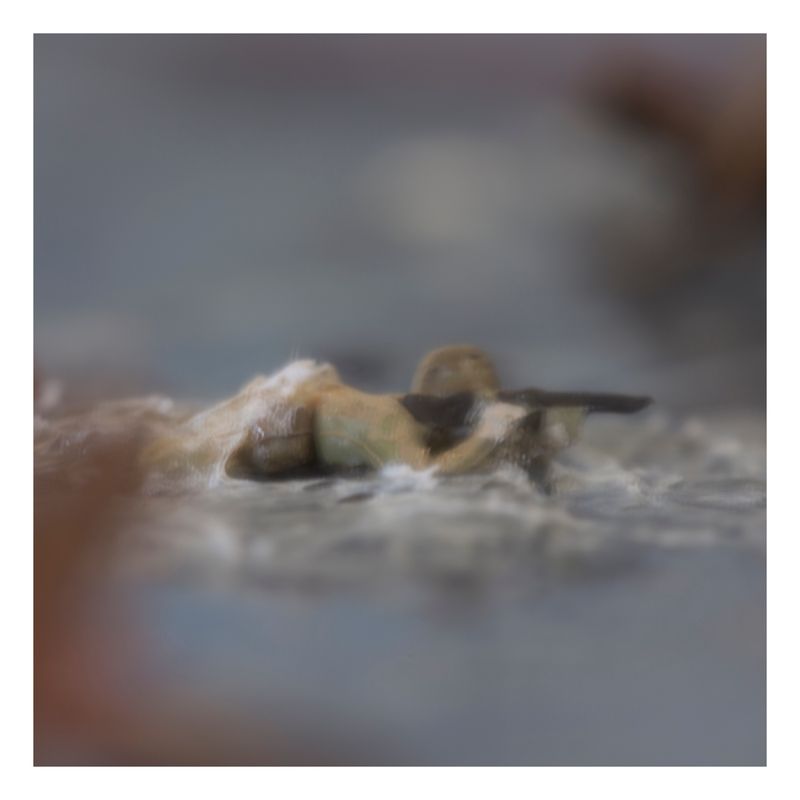 © Todd Bradley - Diorama- Soldier in the Water, Cappa Tribute