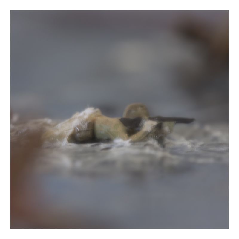 © Todd Bradley - Diorama- Soldier in the Water, Cappa Tribute