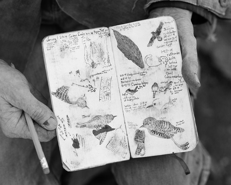 © Matthew Genitempo - Image from the Jasper photography project