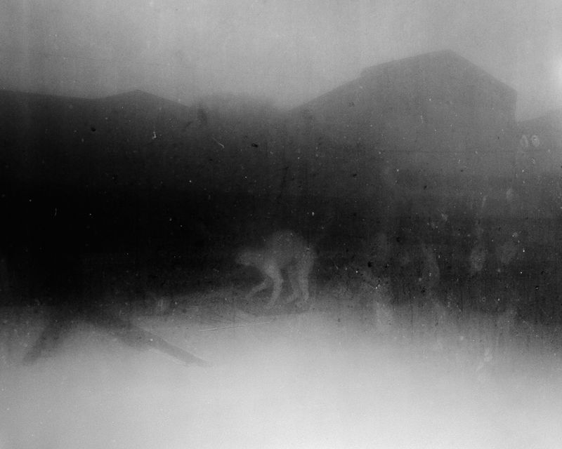 © Matthew Genitempo - Image from the Jasper photography project