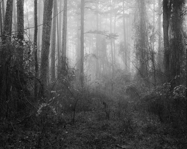 © Matthew Genitempo - Image from the Jasper photography project