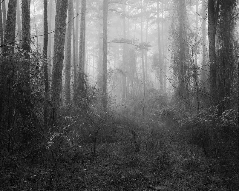 © Matthew Genitempo - Image from the Jasper photography project