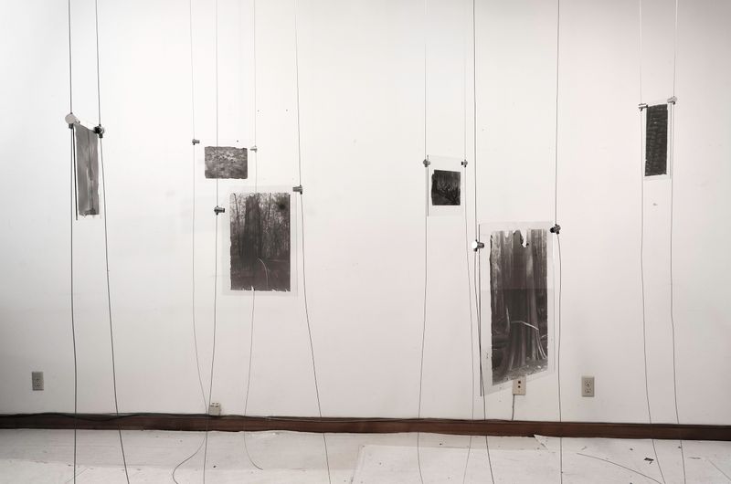 © Sarah Grew - Image from the The Ghost Forest – Out of the Ashes photography project