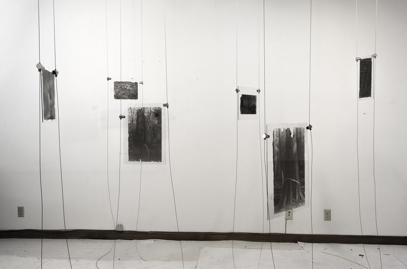 © Sarah Grew - Image from the The Ghost Forest – Out of the Ashes photography project