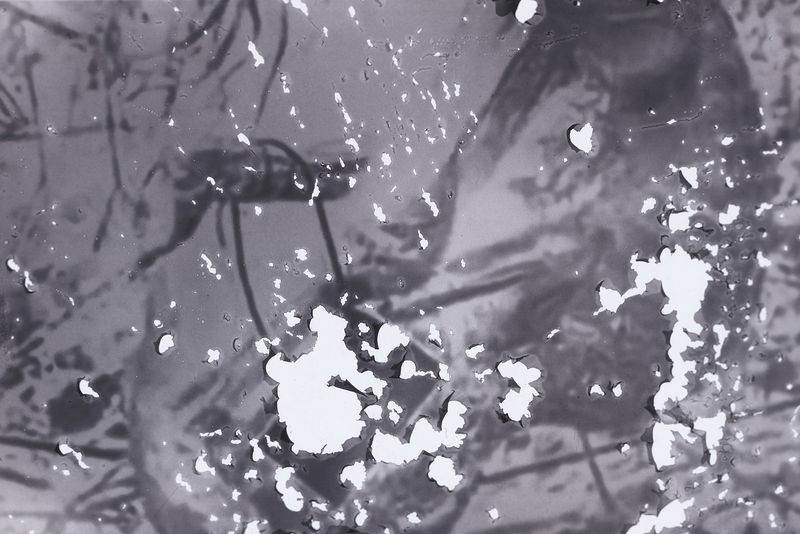 © Ekaterina Plechinta - Re-captured screen from operational survey, where discarded embryos were found.