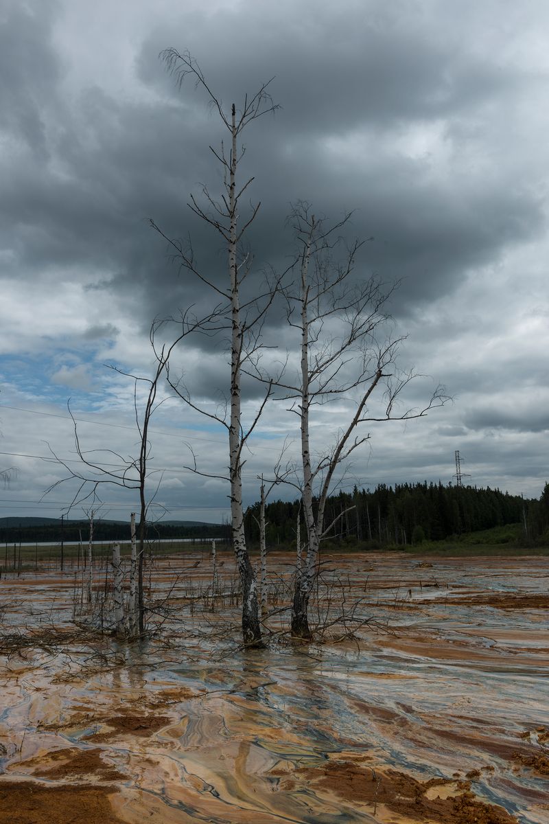 © Ekaterina Plechinta - Image from the Mermaid Diary photography project